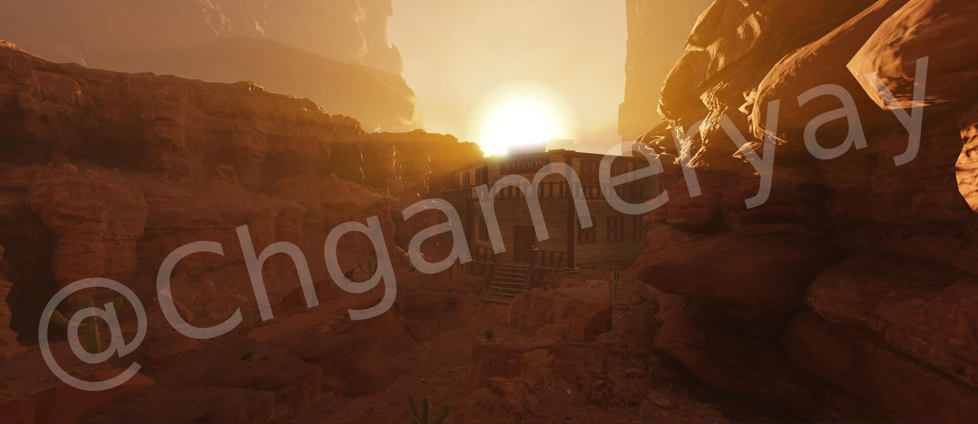 Wild West Realism Project